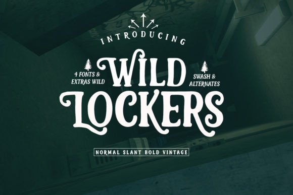 Wild Lockers: A Bold Display Font for Digital Branding